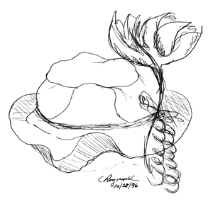 Song Hat